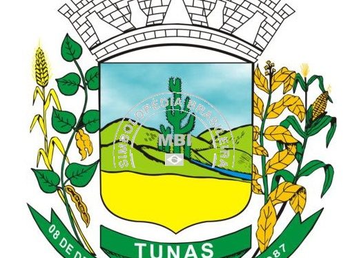 PROCESSO SELETIVO SIMPLIFICADO nº 001/2021 Processo Seletivo Simplificado para formação de Cadastro Reserva – Análise de Currículos para o cargo de Técnico em Contabilidade.