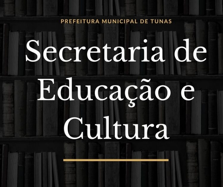 SECRETARIA MUNICIPAL DE EDUCAÇÃO E CULTURA PROMOVE REUNIÃO ONLINE COM OS PROFESSORES DA REDE MUNICIPAL DE ENSINO