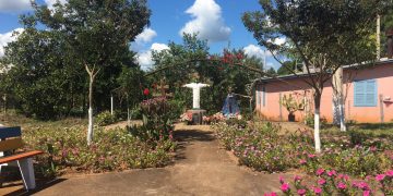 EQUIPE MUNICIPAL REALIZA MELHORIAS NA COMUNIDADE DE LINHA NOSSA SENHORA APARECIDA