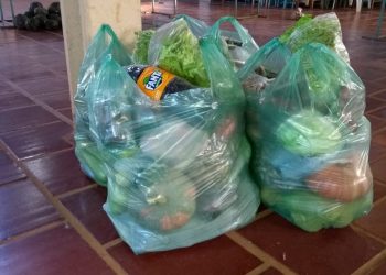 ENTREGA DE ALIMENTOS DO PAA