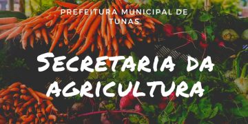 SECRETARIA DE AGRICULTURA REALIZA ENCOMENDA DE MUDAS FRUTÍFERAS, NATIVAS E ORNAMENTAIS
