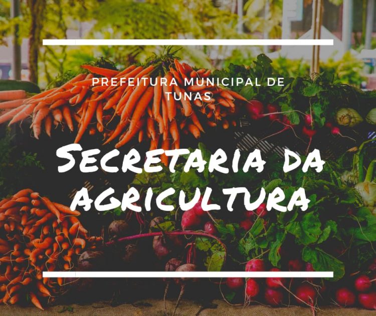 SECRETARIA DE AGRICULTURA REALIZA ENCOMENDA DE MUDAS FRUTÍFERAS, NATIVAS E ORNAMENTAIS