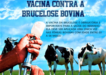 COMUNICADO VACINA BRUCELOSE