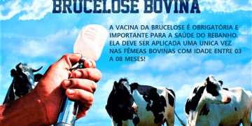 COMUNICADO VACINA BRUCELOSE