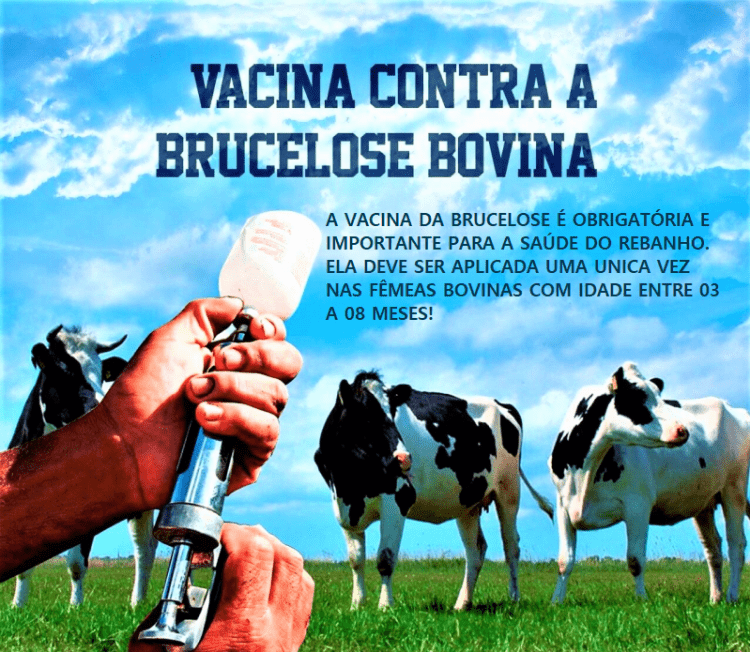 COMUNICADO VACINA BRUCELOSE