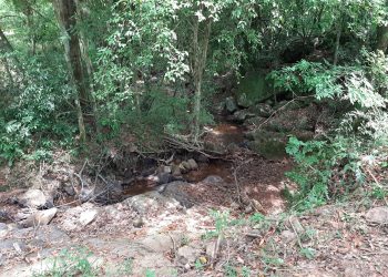 TUNAS DECRETA SITUAÇÃO DE EMERGÊNCIA