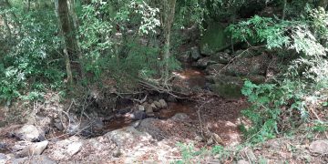 TUNAS DECRETA SITUAÇÃO DE EMERGÊNCIA