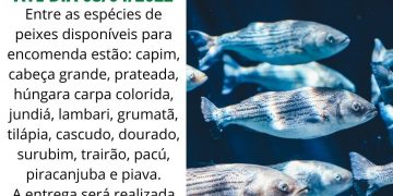 ENCOMENDA DE ALEVINOS