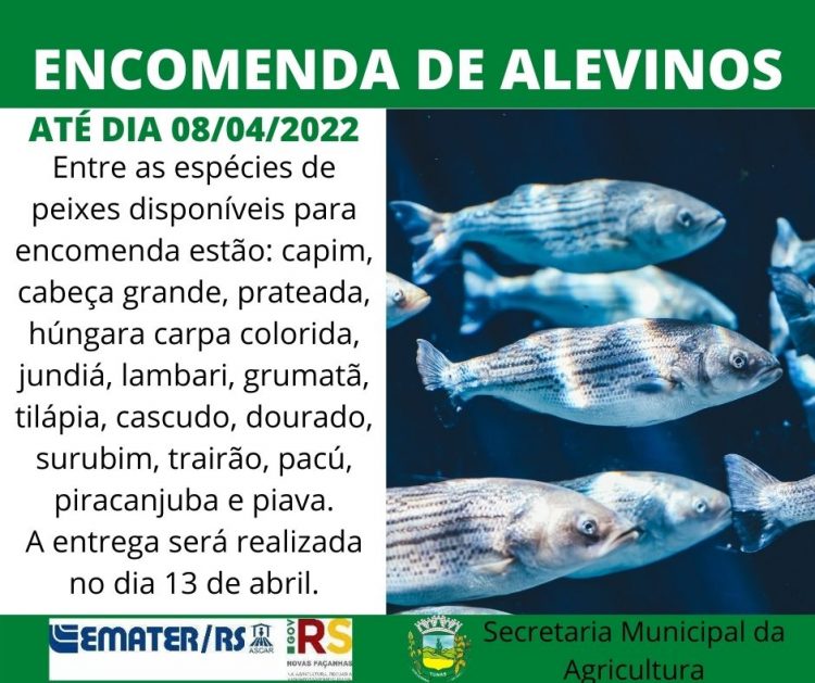 ENCOMENDA DE ALEVINOS