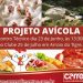 APRESENTAÇÃO DO PROJETO AVÍCOLA SERÁ EM 23 DE JUNHO EM ARROIO DO TIGRE