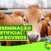INSCRIÇÃO PARA PROJETO DE APOIO À INSEMINAÇÃO ARTIFICIAL