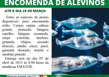 1º ENCOMENDA DE ALEVINOS DO ANO DE 2023