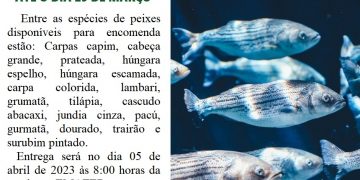 1º ENCOMENDA DE ALEVINOS DO ANO DE 2023