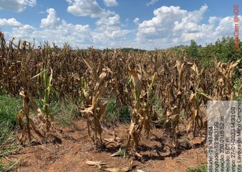 DECRETO DE SITUAÇÃO DE EMERGÊNCIA