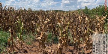 DECRETO DE SITUAÇÃO DE EMERGÊNCIA