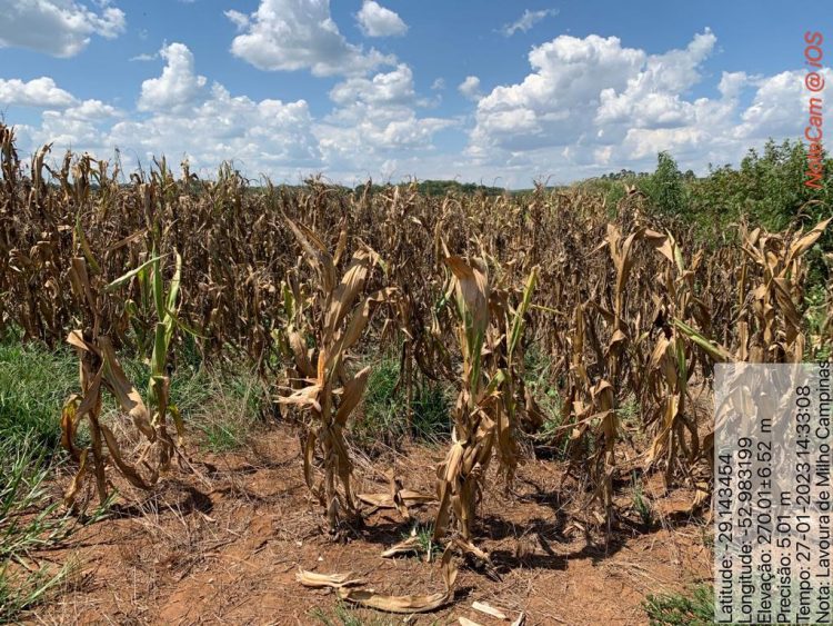 DECRETO DE SITUAĂĂO DE EMERGĂNCIA