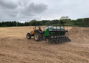 SECRETARIA DE AGRICULTURA EM PARCERIA COM A EMATER REALIZAM SERVIÇOS PARA MELHORIA DO MUNICÍPIO.