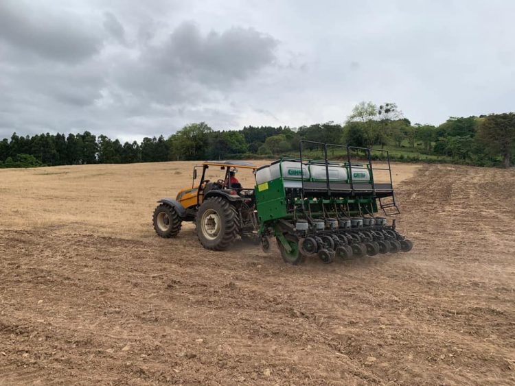 SECRETARIA DE AGRICULTURA EM PARCERIA COM A EMATER REALIZAM SERVIÇOS PARA MELHORIA DO MUNICÍPIO.