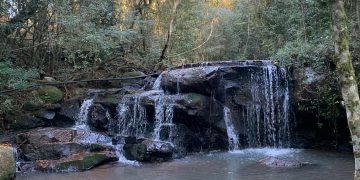 Projeto de Turismo votado na Consulta Popular – Ações no Município de Tunas