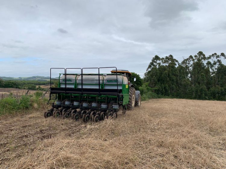 INICIO DO PLANTIO DE SOJA.