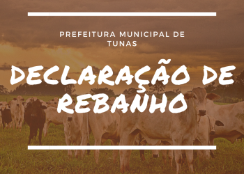 DECLARAÇÃO ANUAL DE REBANHO.