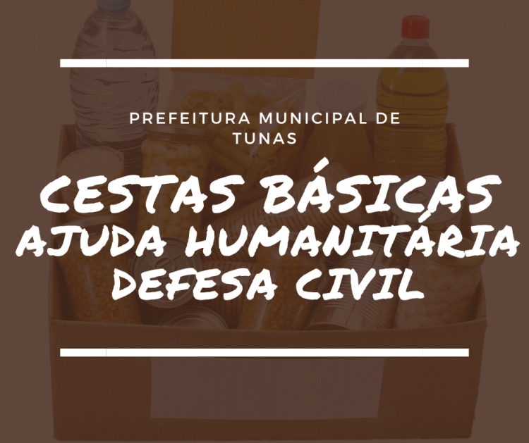 CESTAS BÁSICAS AJUDA HUMANITÁRIA DEFESA CIVIL.