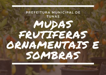 ENCOMENDAS DE MUDAS FRUTÍFERAS, ORNAMENTAIS E SOMBRAS.