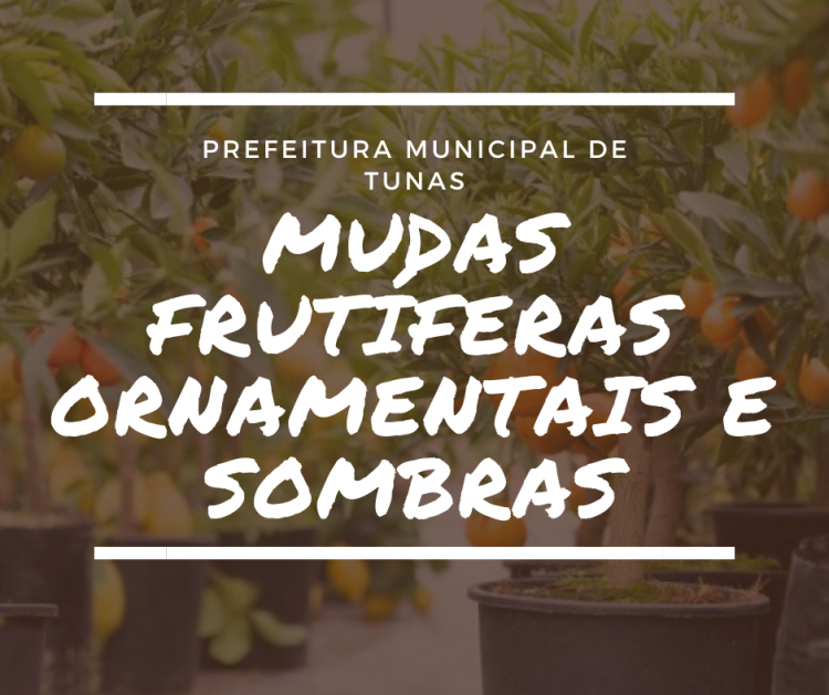 ENCOMENDAS DE MUDAS FRUTÍFERAS, ORNAMENTAIS E SOMBRAS.
