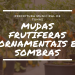 ENCOMENDAS DE MUDAS FRUTÍFERAS, ORNAMENTAIS E SOMBRAS.
