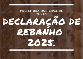 DECLARAÇÃO ANUAL DE REBANHO 2025.