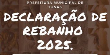 DECLARAÇÃO ANUAL DE REBANHO 2025.