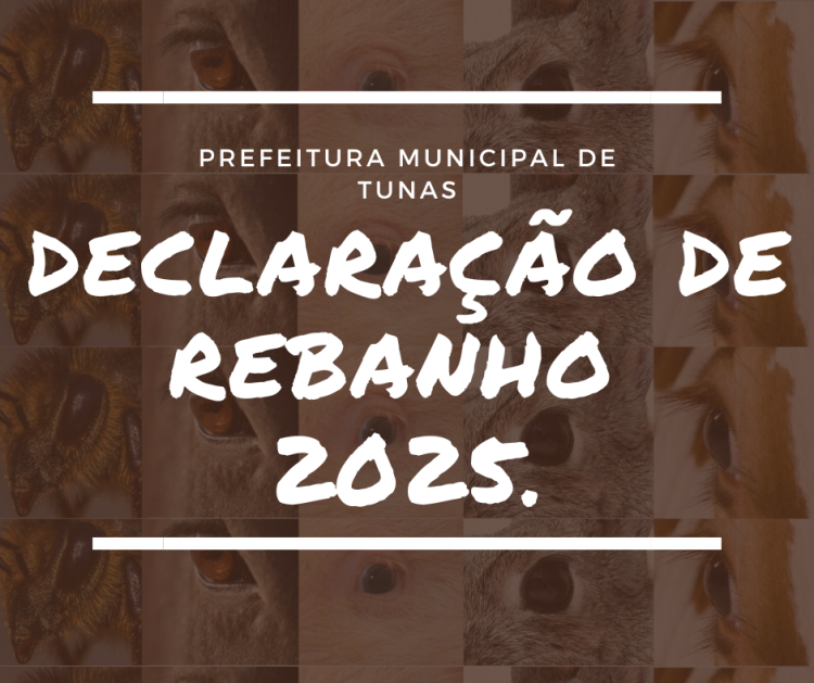 DECLARAÇÃO ANUAL DE REBANHO 2025.