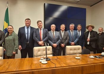 PREFEITO MUNICIPAL DE TUNAS PAULO HENRIQUE REUTER PARTICIPA DA MOBILIZAÇÃO DA AMPROTABACO EM BRASILIA.